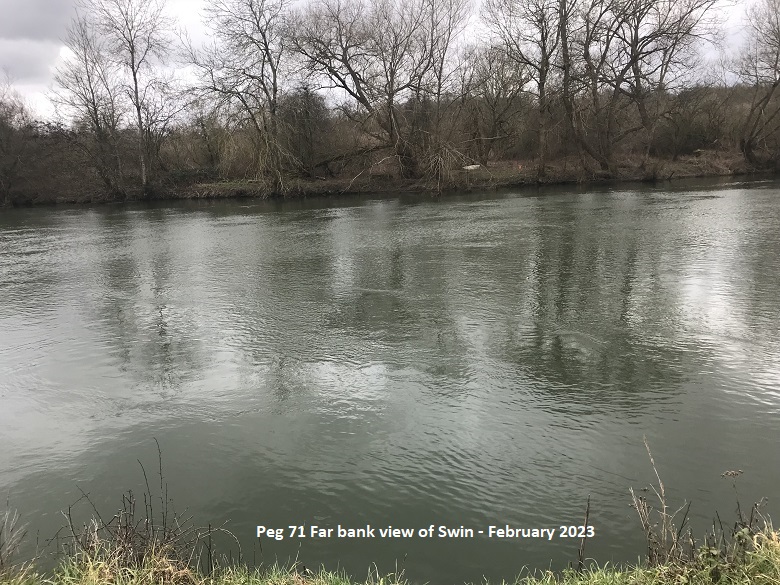 FAR BANK VIEW